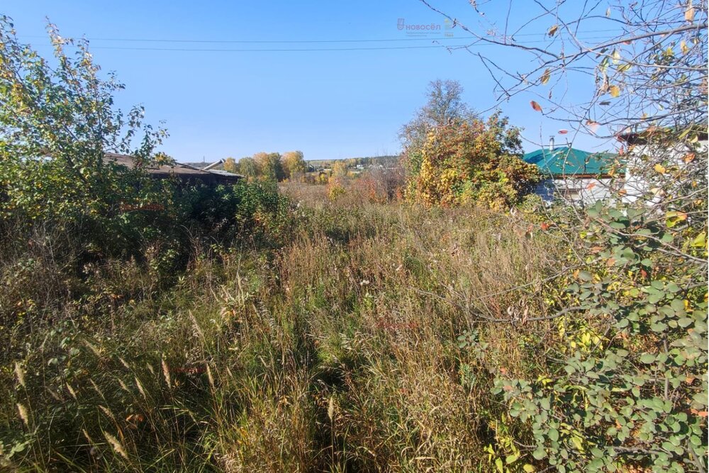 с. Мезенское, ул. Рабочая, 5А (городской округ Заречный) - фото земельного участка (6)