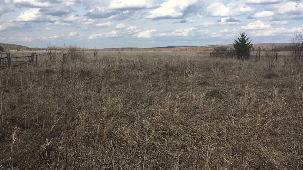 п. Уфимский, ул. Береговая, 9 (городской округ Ачитский) - фото земельного участка (1)