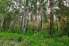 п. Белоярская Застава, ул. Александровский, 10 (городской округ Белоярский) - фото земельного участка