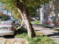 Продажа квартиры: Екатеринбург, ул. Сухумский, 2 (Вторчермет) - Фото 1