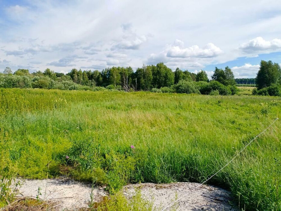 п. Рассоха, ул. Бажова (городской округ Белоярский) - фото земельного участка (3)