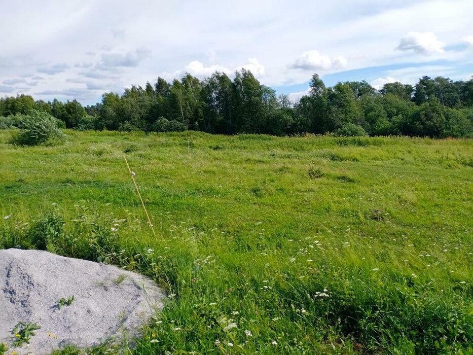 п. Рассоха, ул. Бажова (городской округ Белоярский) - фото земельного участка (5)