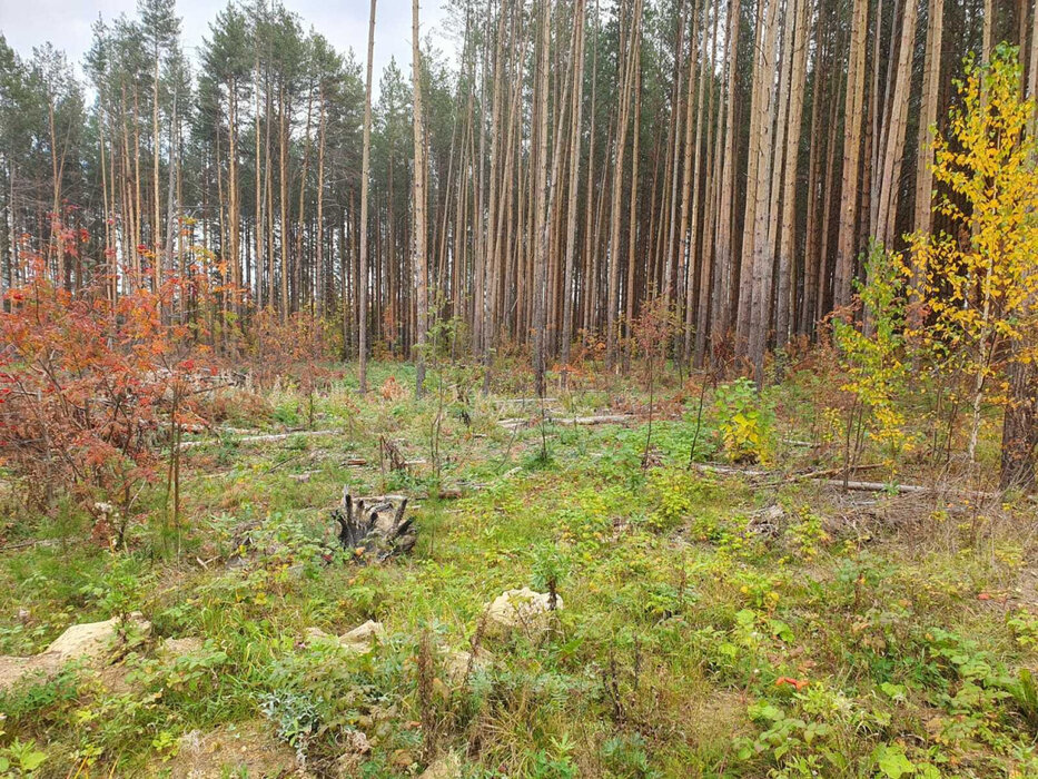 д. Гагарка (городской округ Заречный) - фото земельного участка (2)