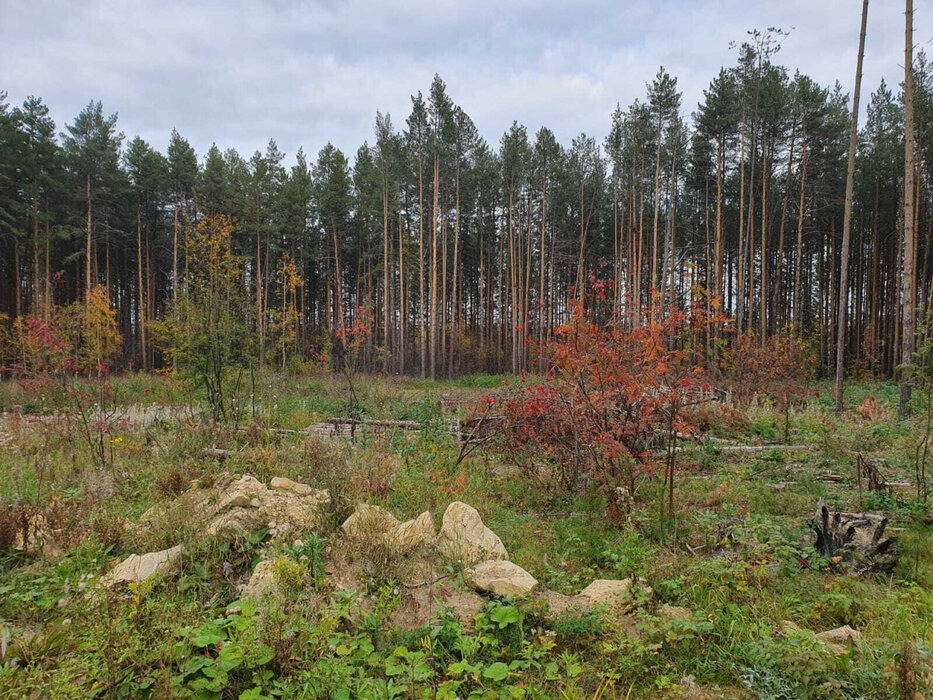 д. Гагарка (городской округ Заречный) - фото земельного участка (3)