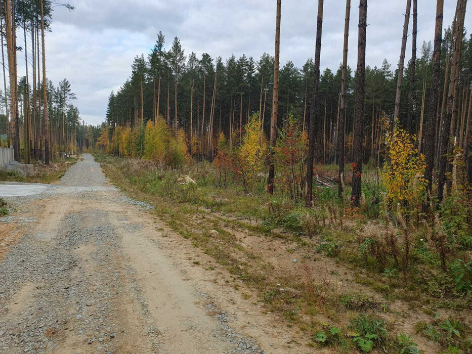 д. Гагарка (городской округ Заречный) - фото земельного участка (6)