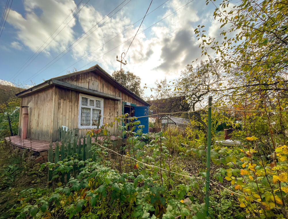 Екатеринбург, СНТ Калининец 5, ул. Волховская, 61 (Пионерский) - фото сада (3)