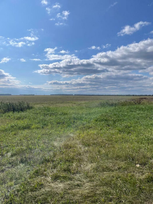 поселок городского типа Белоярский, ул. Калинина (городской округ Белоярский) - фото земельного участка (4)