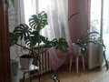 Продажа квартиры: Екатеринбург, ул. Косарева, 15 (Химмаш) - Фото 5