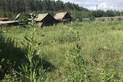 г. Сысерть, ул. Трактовая, 40 (городской округ Сысертский) - фото земельного участка