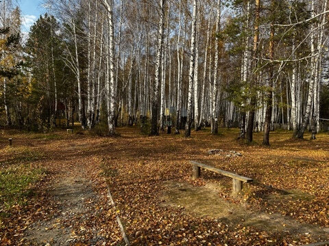 г. Березовский, ул. Чистые пруды (городской округ Березовский) - фото готового бизнеса (2)