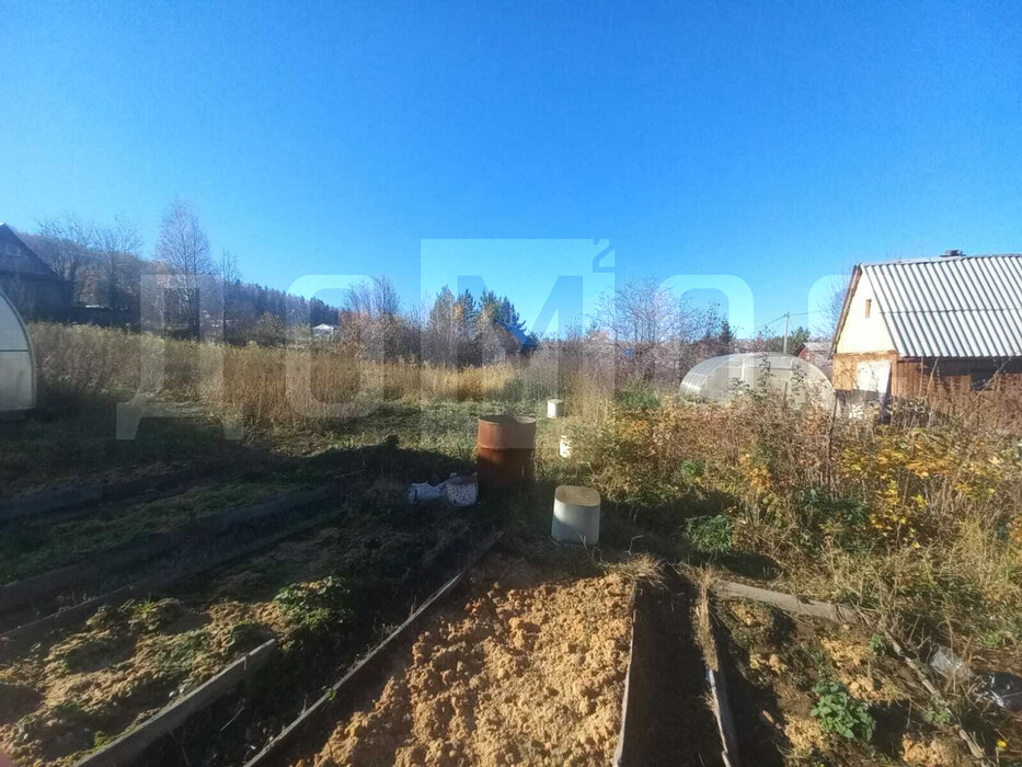 Екатеринбург, к/с Березка - фото сада (3)