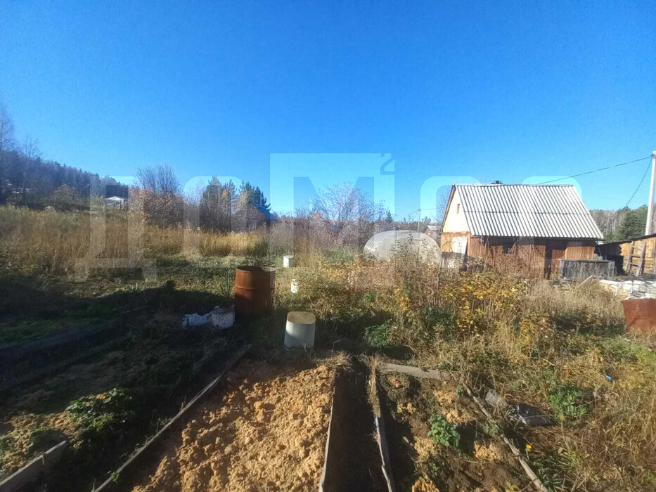 Екатеринбург, к/с Березка - фото сада (5)