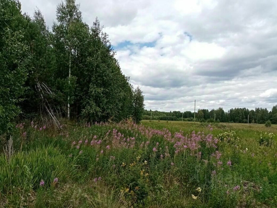 с. Кунгурка, ул. Жукова (городской округ Ревда) - фото земельного участка (4)