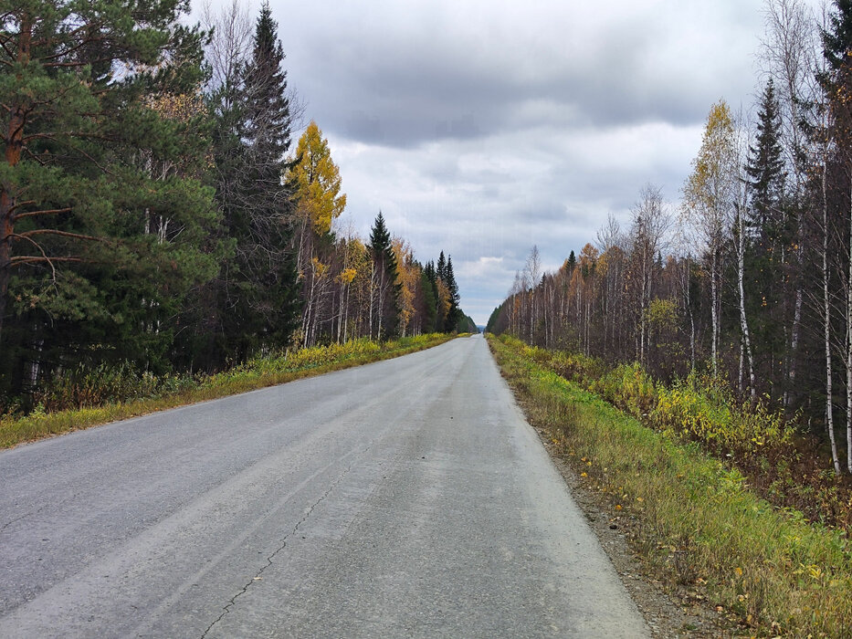 п. Юшала (городской округ Тугулымский) - фото земельного участка (5)