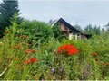 Продажа садового участка: с. Мостовское (г.о. Вехняя Пышма), СНТ №111, уч. 43 (городской округ Верхняя Пышма) - Фото 2