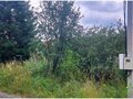 Продажа садового участка: с. Мостовское (г.о. Вехняя Пышма), СНТ №111, уч. 43 (городской округ Верхняя Пышма) - Фото 3