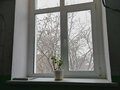 Продажа квартиры: Екатеринбург, ул. 22-го Партсъезда, 19 (Уралмаш) - Фото 2