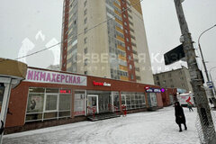 Екатеринбург, ул. Сыромолотова, 34 (ЖБИ) - фото торговой площади