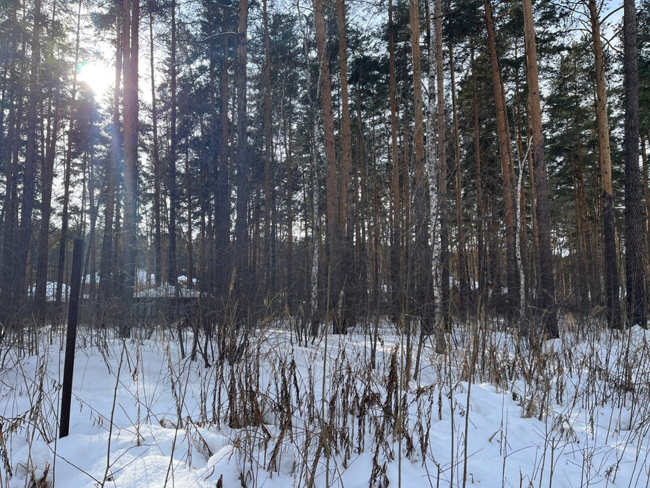 Екатеринбург, садоводческое некоммерческое товарищество Исток (М.Исток) - фото сада (3)