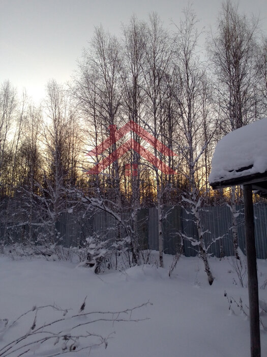 с. Кунгурка, к/с  Березовая роща (городской округ Ревда) - фото сада (1)