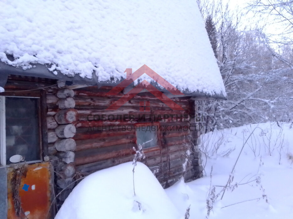 с. Кунгурка, к/с  Березовая роща (городской округ Ревда) - фото сада (2)