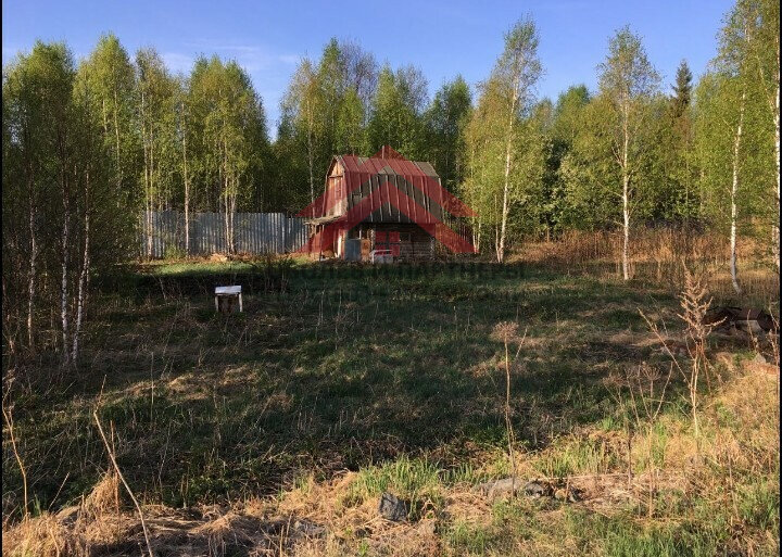 с. Кунгурка, к/с  Березовая роща (городской округ Ревда) - фото сада (3)