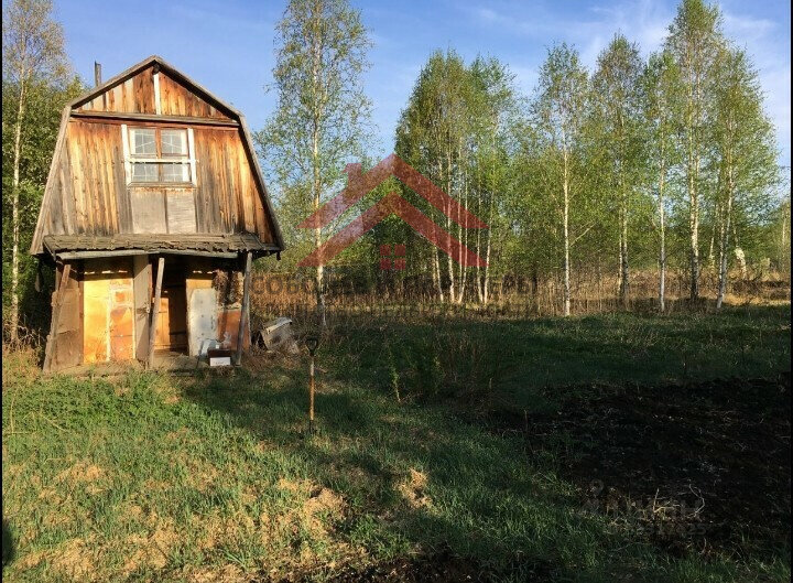 с. Кунгурка, к/с  Березовая роща (городской округ Ревда) - фото сада (4)