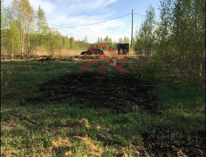 с. Кунгурка, к/с  Березовая роща (городской округ Ревда) - фото сада (5)