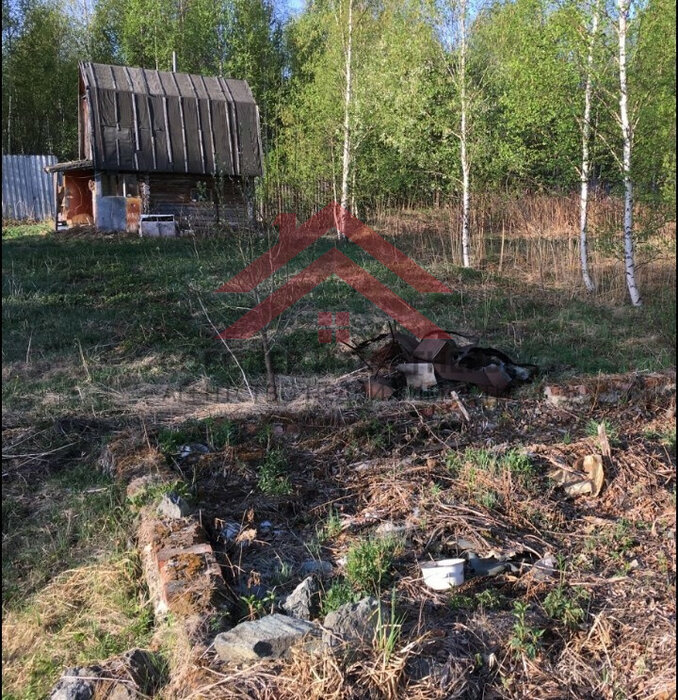 с. Кунгурка, к/с  Березовая роща (городской округ Ревда) - фото сада (6)