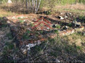 Продажа садового участка: с. Кунгурка, к/с  Березовая роща (городской округ Ревда) - Фото 8
