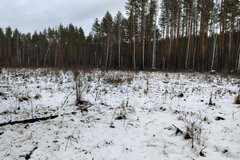 г. Асбест, ул. Рассветная, 7 (городской округ Асбестовский) - фото земельного участка