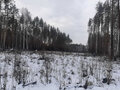 Продажа земельного участка: г. Асбест, ул. Рассветная, 7 (городской округ Асбестовский) - Фото 2