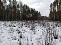 Продажа земельного участка: г. Асбест, ул. Рассветная, 7 (городской округ Асбестовский) - Фото 5