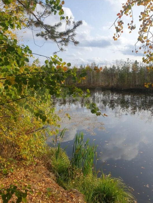 п. Канал (городской округ Первоуральск) - фото земельного участка (3)