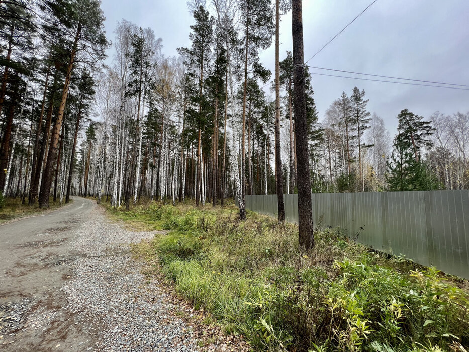 Екатеринбург, СНТ Лесной, уч. 123 (Широкая речка) - фото сада (3)