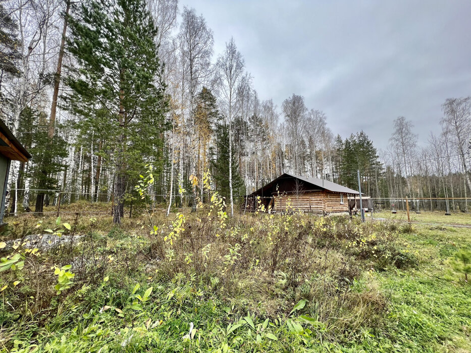 Екатеринбург, СНТ Лесной, уч. 123 (Широкая речка) - фото сада (5)
