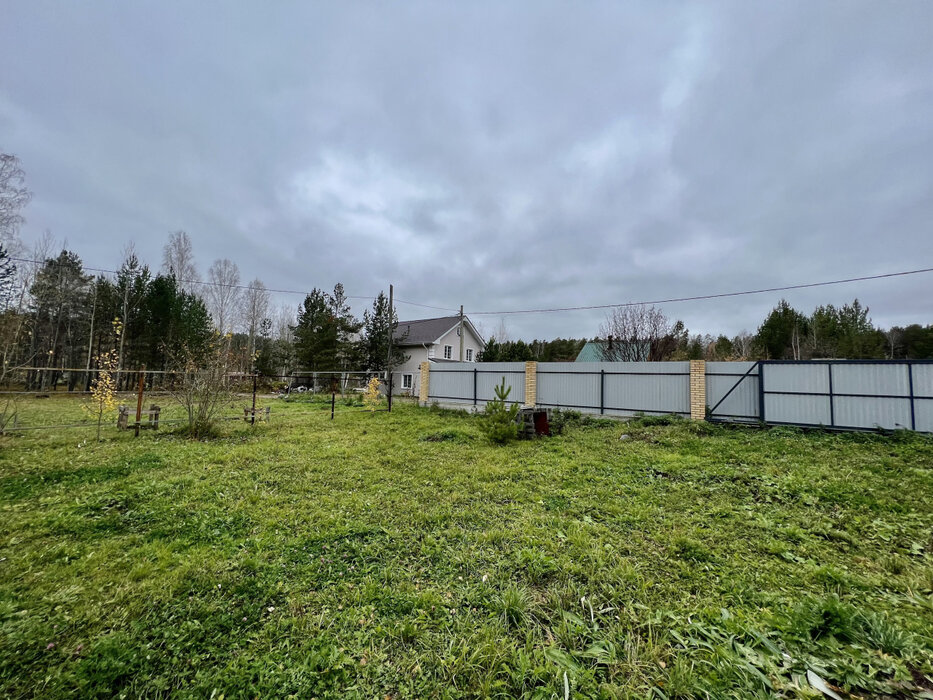Екатеринбург, СНТ Лесной, уч. 123 (Широкая речка) - фото сада (6)