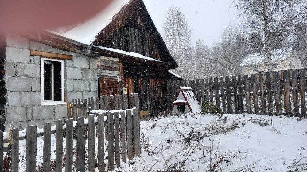 г. Дегтярск, ул. Пушкина, 51 (городской округ Город Дегтярск) - фото дома (3)