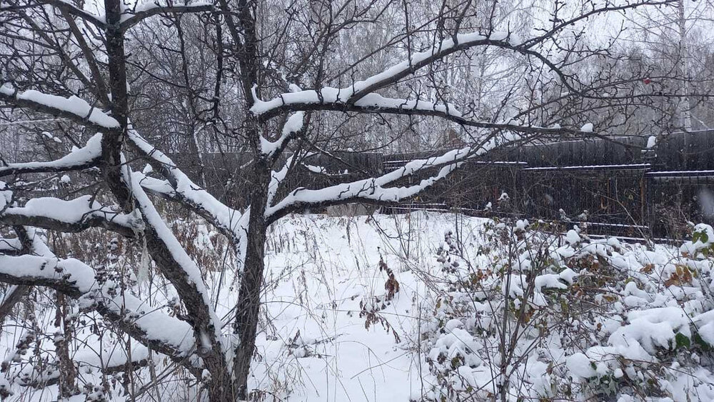 г. Дегтярск, ул. Пушкина, 51 (городской округ Город Дегтярск) - фото дома (4)