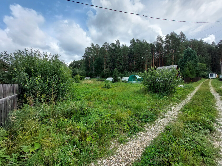 г. Сысерть, к/с Ключи, уч. 47 (городской округ Сысертский) - фото сада (1)