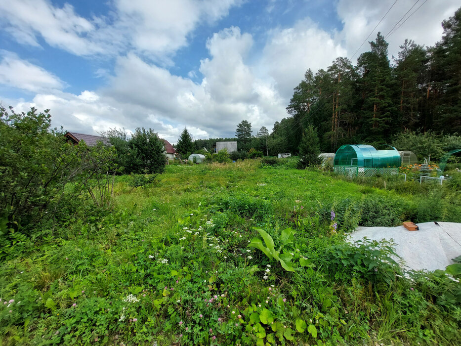 г. Сысерть, к/с Ключи, уч. 47 (городской округ Сысертский) - фото сада (3)