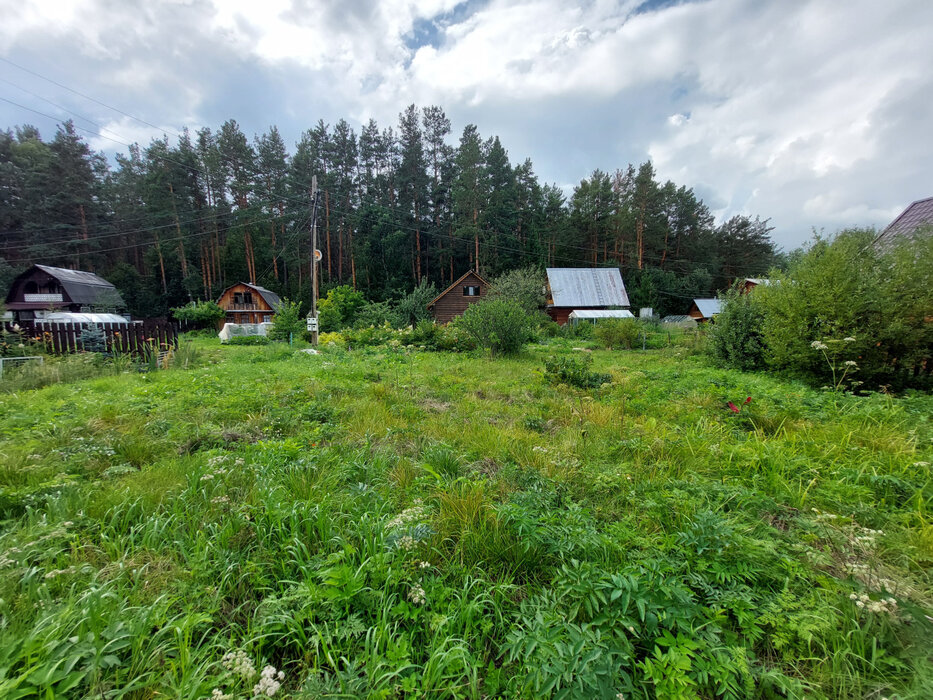г. Сысерть, к/с Ключи, уч. 47 (городской округ Сысертский) - фото сада (4)