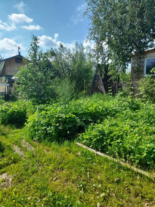 Екатеринбург, СТ Свет (Широкая речка) - фото сада (4)