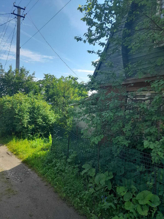 Екатеринбург, СТ Свет (Широкая речка) - фото сада (7)