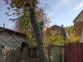 Продажа дома: п. Исеть, ул. Ленина, 15 (городской округ Верхняя Пышма) - Фото 4