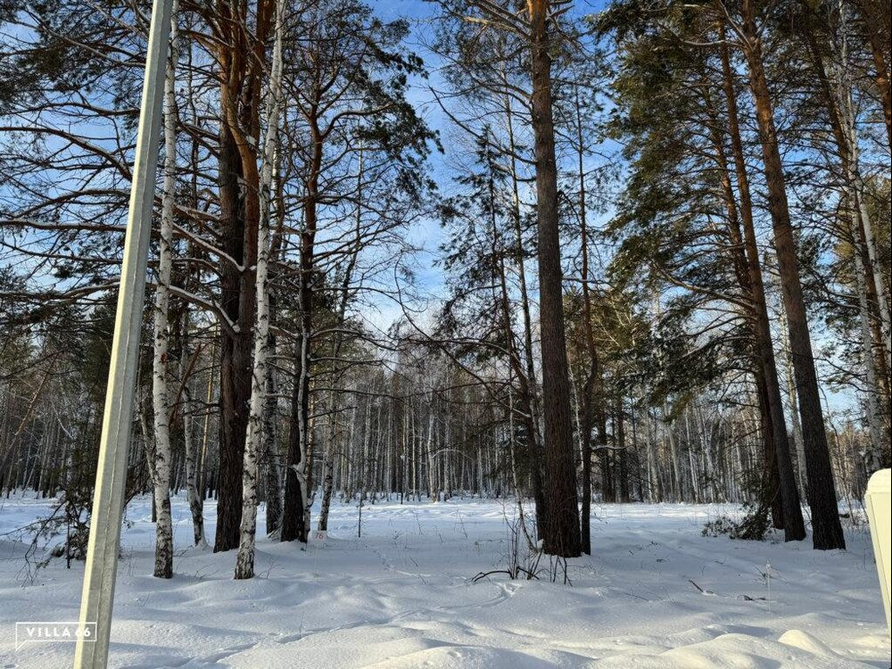 к.п. Заповедник, ул. Гранат, 76 (городской округ Сысертский, п. Габиевский) - фото земельного участка (1)