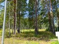 Продажа земельного участка: к.п. Заповедник, ул. Гранат, 76 (городской округ Сысертский, п. Габиевский) - Фото 1