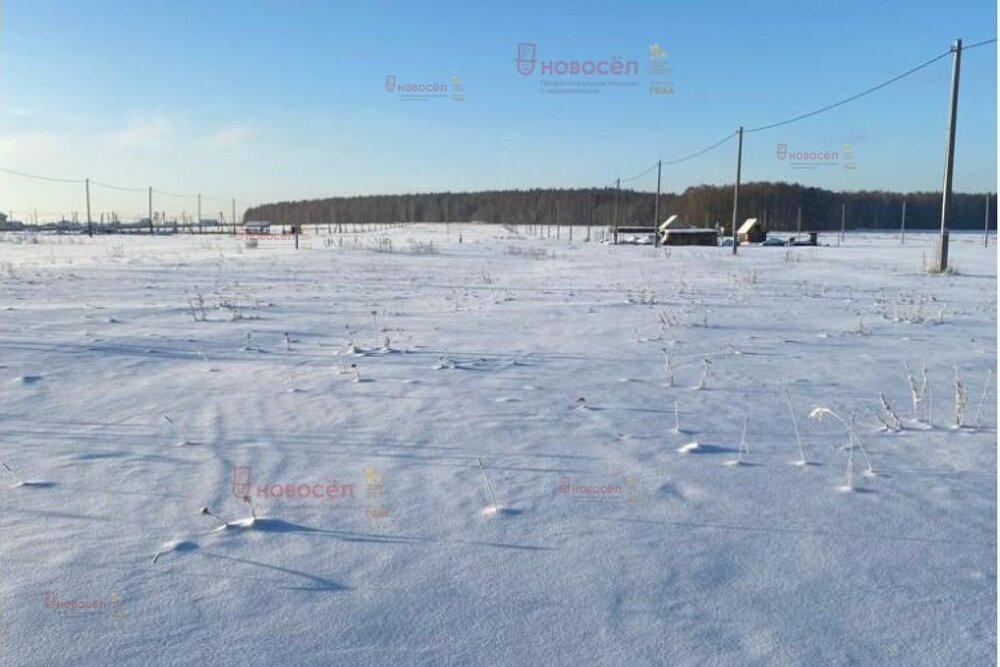 п. Зеленый Лог (городской округ Полевской) - фото земельного участка (3)