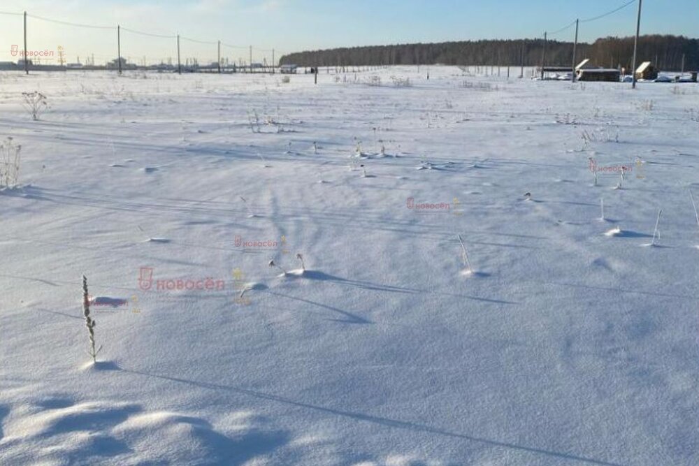 п. Зеленый Лог (городской округ Полевской) - фото земельного участка (4)