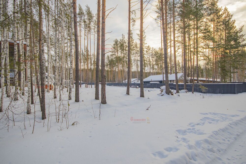 к.п. Заповедник, ул. Рысь, 102 (городской округ Сысертский, п. Габиевский) - фото земельного участка (7)